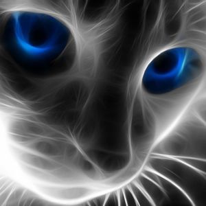 Meet your Posher, Jose antonio